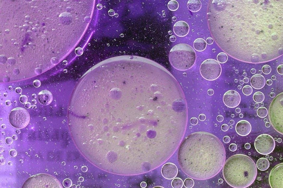 The Mechanics of Oil⁣ and Water: How Double Cleansing Works